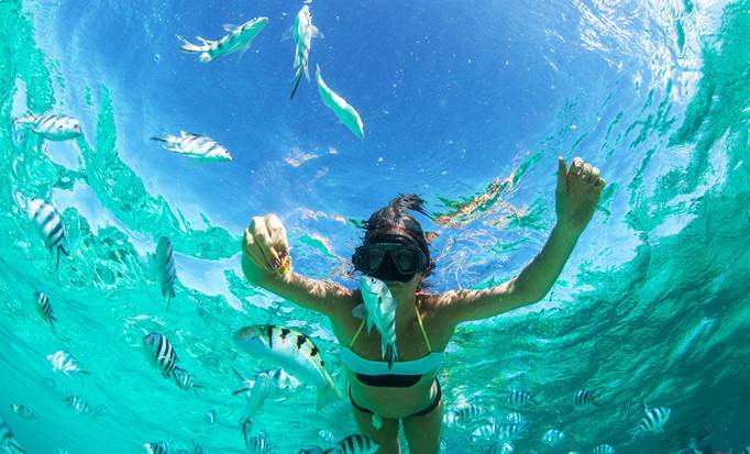 Island Boat Cruise, Igunana Park, Snorkeling and Beach
